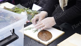 天然染料双年展期间在中国丝绸博物馆开设工作坊,接待各国艺术家和观众